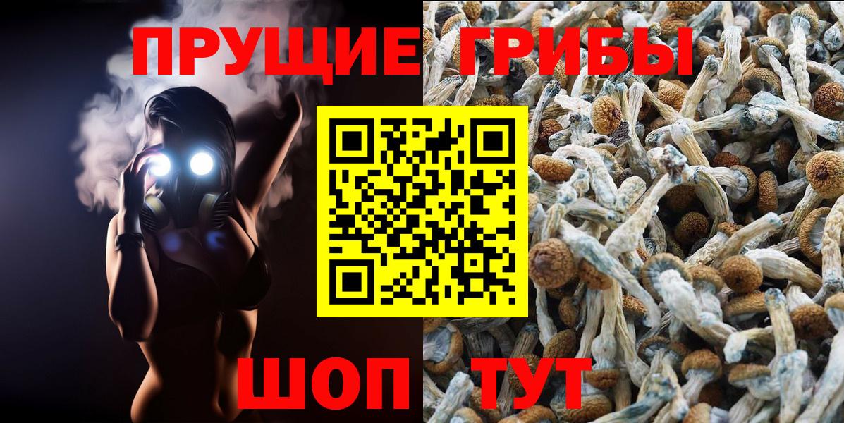Галлюциногенные грибы Magic Shrooms Дивногорск