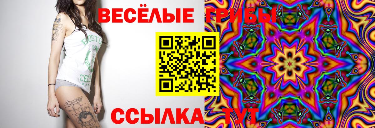 Дивногорск  Галлюциногенные грибы ЛСД  где можно купить наркотик  Псилоцибиновые грибы Cubensis  Вход с VPN 